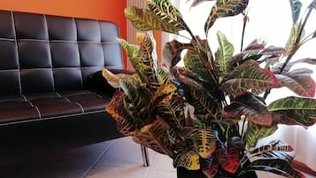 DĂ©tail de lâintĂ©rieur