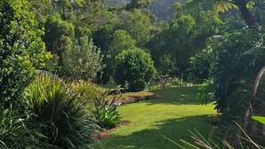 A lush green landscape with a variety of trees and shrubs, a grassy area, and a clear sky. - Reconnect Your Mind, Body and Soul... (Wongawallan)