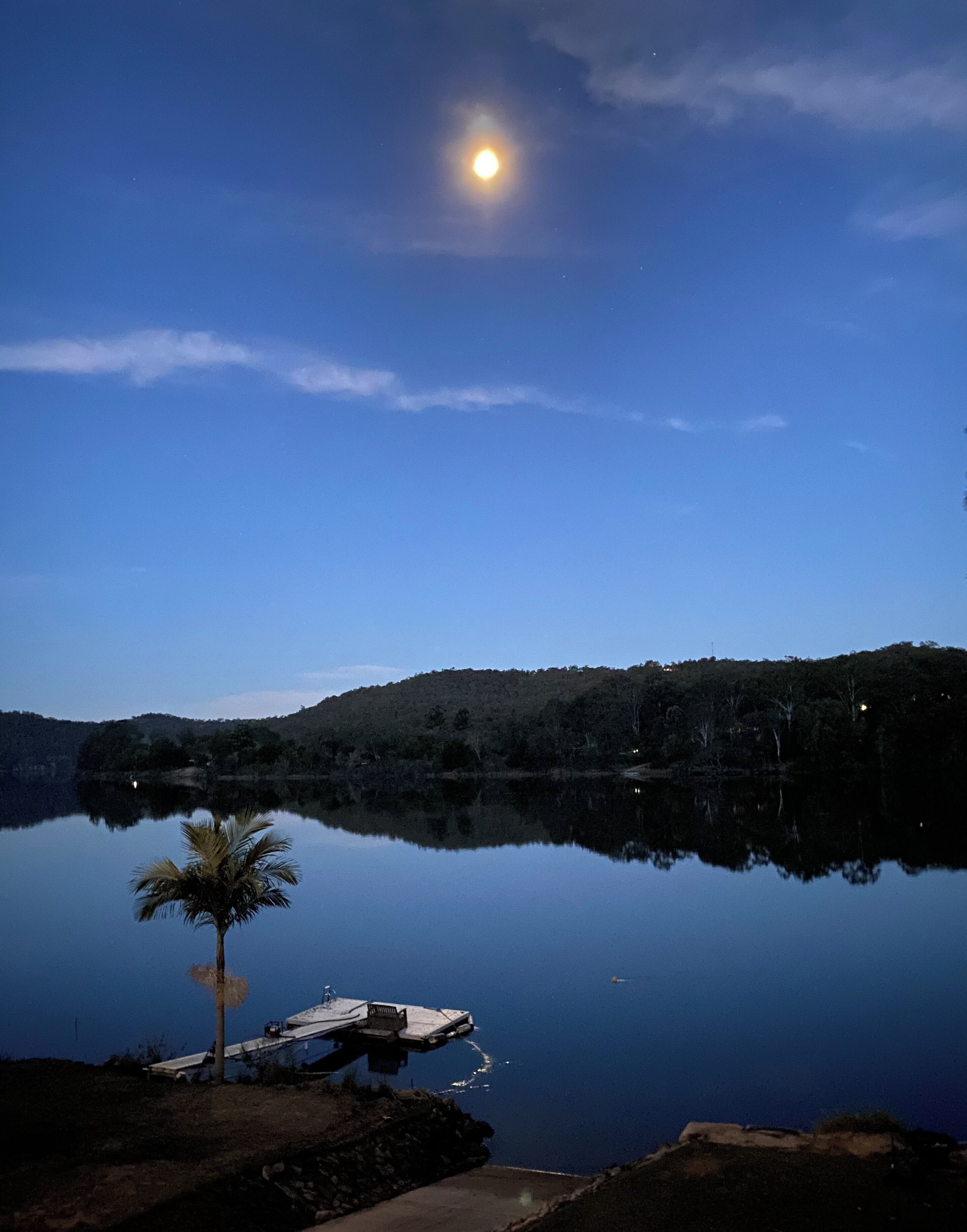 A calm lake at dusk with a clear sky, a palm tree, and a dock.