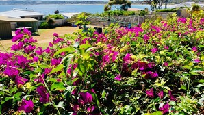 A garden with vibrant pink flowers, a view of the sea, and a building with a sloped roof.