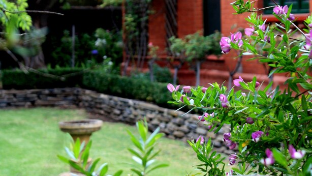 A garden with a brick building, a stone planter, and green foliage.