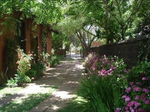Property grounds - Viva Music Apartment - Buxton Mansion (North Adelaide)