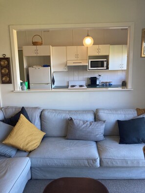 LCD TV, fireplace, DVD player, books