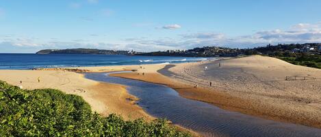 Playa en los alrededores, camastros y toallas de playa