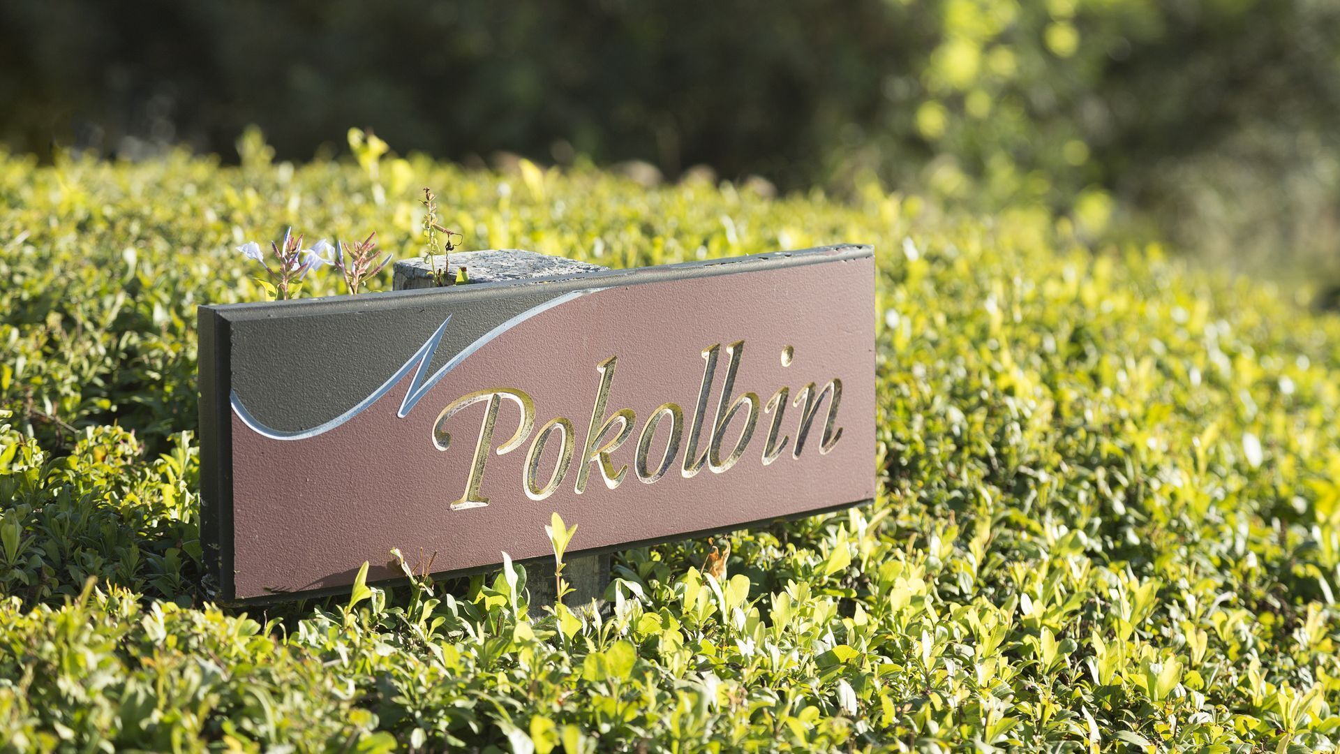 Windsors Edge Pokolbin Cottage — image 13