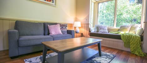 Smart TV, DVD player, video library, stereo