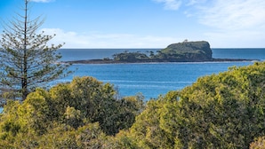 A coastal landscape with a prominent rock formation surrounded by dense foliage and a clear blue sky. - 3 Bedroom Penthouse Apartment with a Private Rooftop Spa (Sunshine Coast)