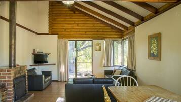 Télévision, cheminée, lecteur de DVD, livres