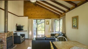 Télévision, cheminée, lecteur de DVD, livres