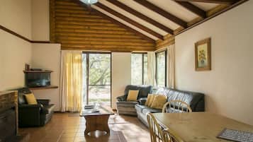 TV, fireplace, DVD player, books