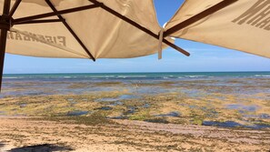 Beach - Holiday weekend: 04 luxury rooms in the Coconut Road (Abrantes)