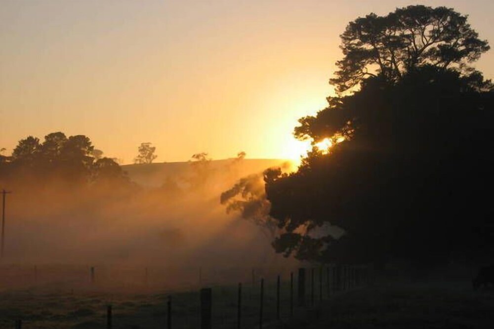 "Ferndale" Farm Stay
