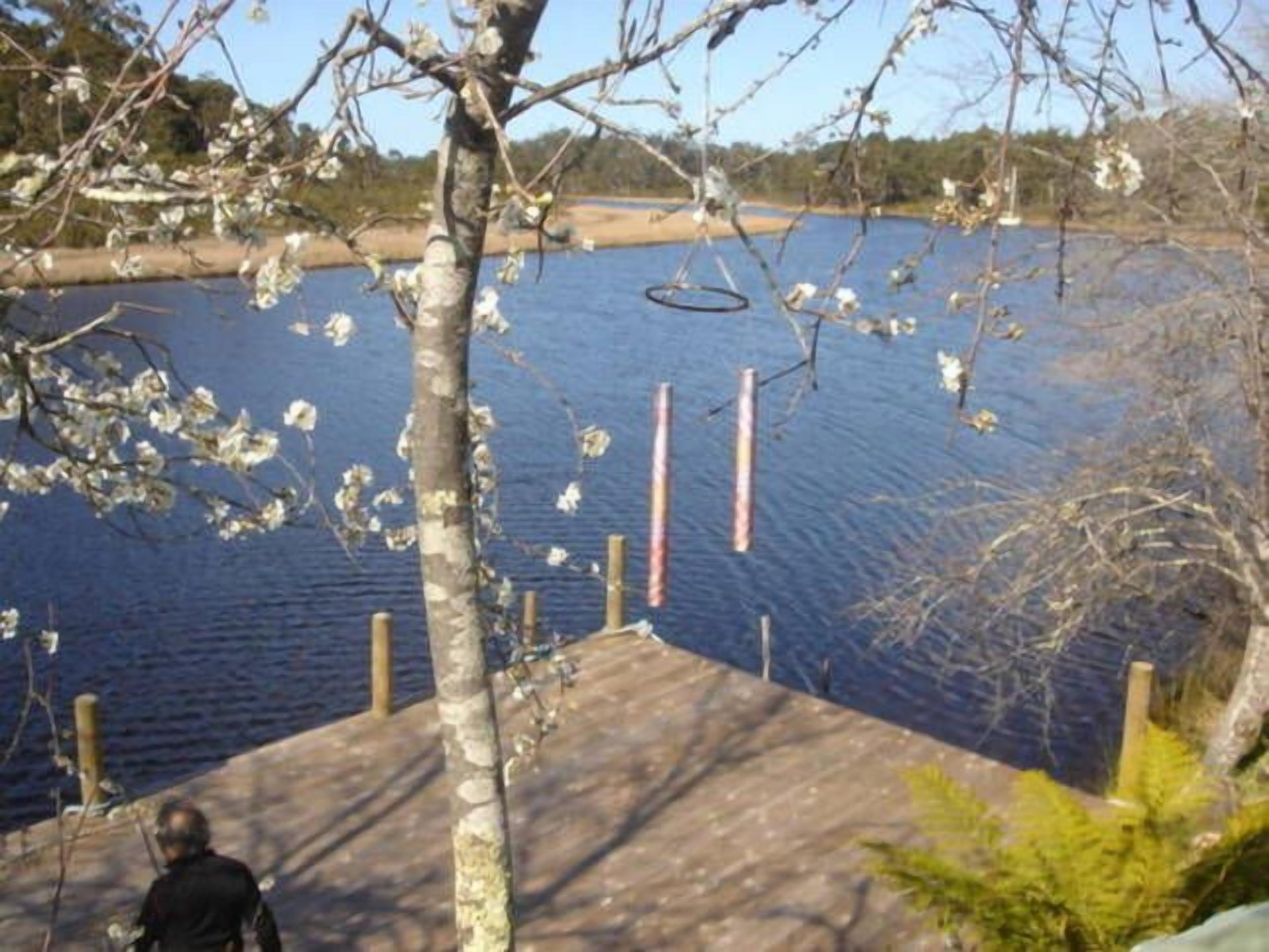 Lune Mill River House — image 8