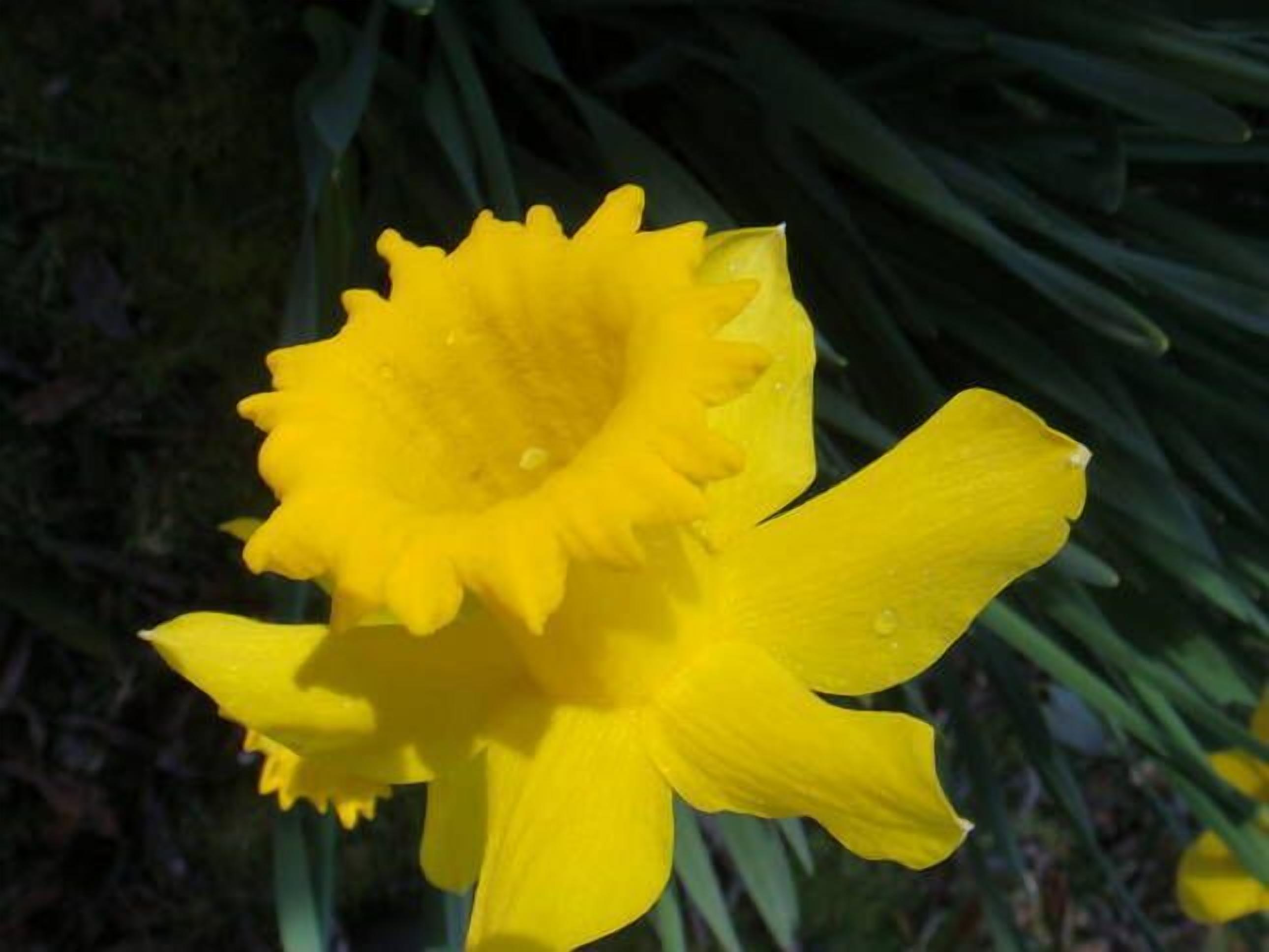 Lune Mill River House — image 22