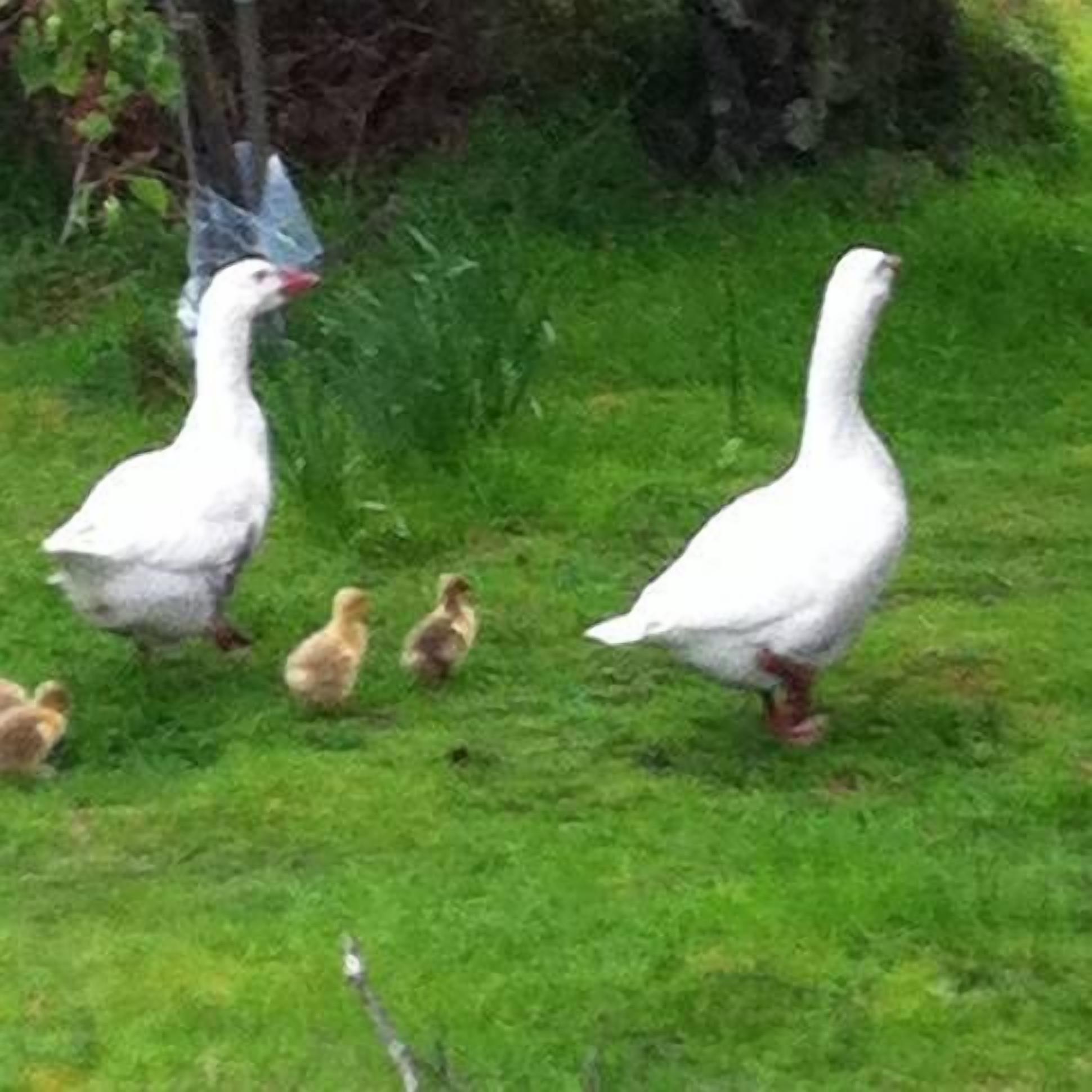 Lune Mill River House — image 21