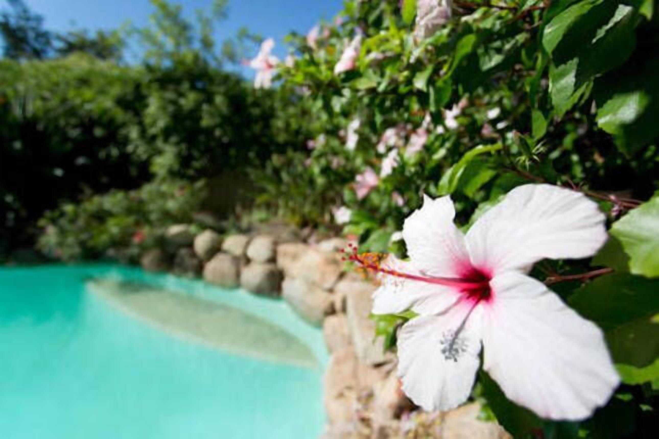 Luxury Executive Apartment — image 3