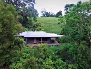 A house with a sloped roof, surrounded by dense greenery and trees. - Bellthorpe Stays - Cottage: waterfalls, rainforest, wildlife and walking tracks. (Bellthorpe)