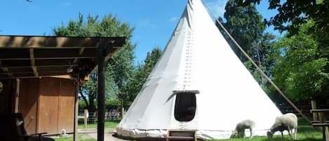 Tipi / Teepee - Wacky Stays, Kaikoura, NZ