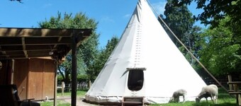 Tipi / Teepee - Wacky Stays = six UNIQUE rentals in Kaikoura
