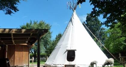 Tipi / Teepee - Wacky Stays = six UNIQUE rentals