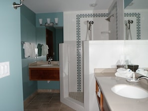 Shower, hair dryer, towels