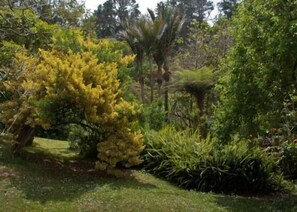 Overnatningsstedets område