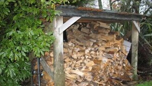 Eine Holzhütte mit einem Holzstoß darin.