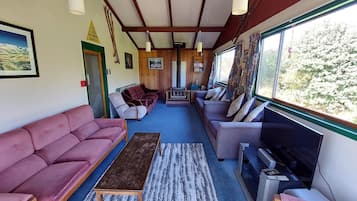 Televisión, chimenea, reproductor de DVD y libros