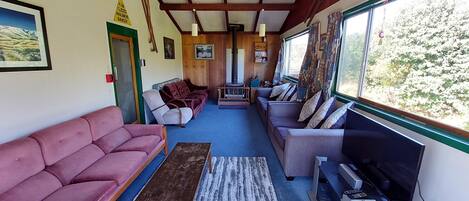 TV, fireplace, DVD player, books