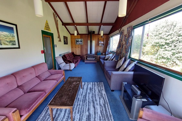 Televisión, chimenea, reproductor de DVD y libros