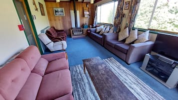 TV, fireplace, DVD player, books