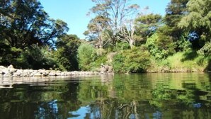 A serene river with dense greenery and trees reflecting in the water. - Te Mata Lodge - 2 Bedroom Cottage (Te Mata)