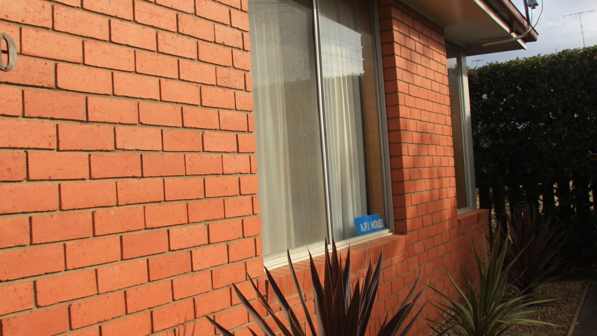 API Leisure & lifestyle Swansea — image 3