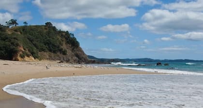 Cosy Beach Cottage surrounded by Nature - Tahi