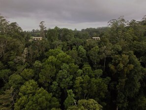Aerial view - Bellthorpe Stays- Bowerbird Cabin: nature-based accommodation. Pooches permitted (Bellthorpe)
