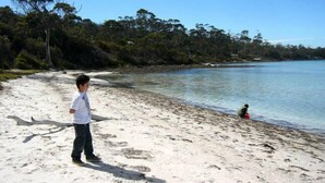 Una playa arenosa con agua cristalina y árboles al fondo.