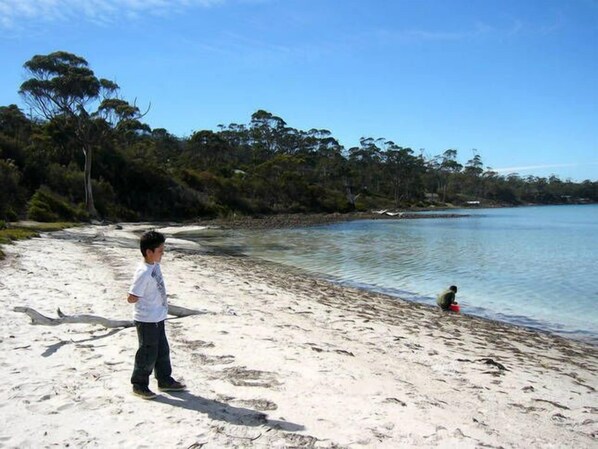 Una playa arenosa con agua cristalina y árboles al fondo.