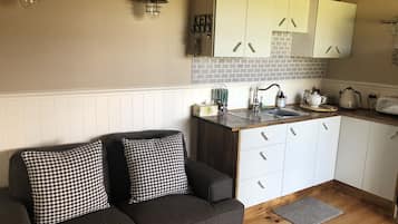 Televisión, chimenea, videojuegos, reproductor de DVD