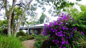 Ein modernes Haus mit überdachter Terrasse, umgeben von üppiger Vegetation und violetten Blumen.