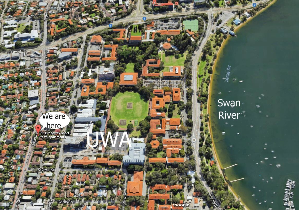 B3 Crawley/Nedlands Apartment 1 BRM + Sleepout - 2min walk to UWA — image 5