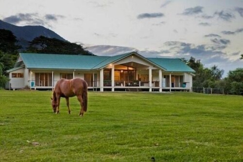 Cairns PET FRIENDL THE HOMESTEAD: Redlynch Pet fees apply Kitchenette YES