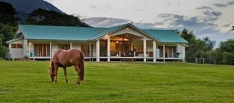 HEMESTEADEN: EN FREMTIDIG GETAWAY