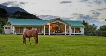 Cairns PET FRIENDL THE HOMESTEAD: Redlynch Pet fees apply Kitchenette YES