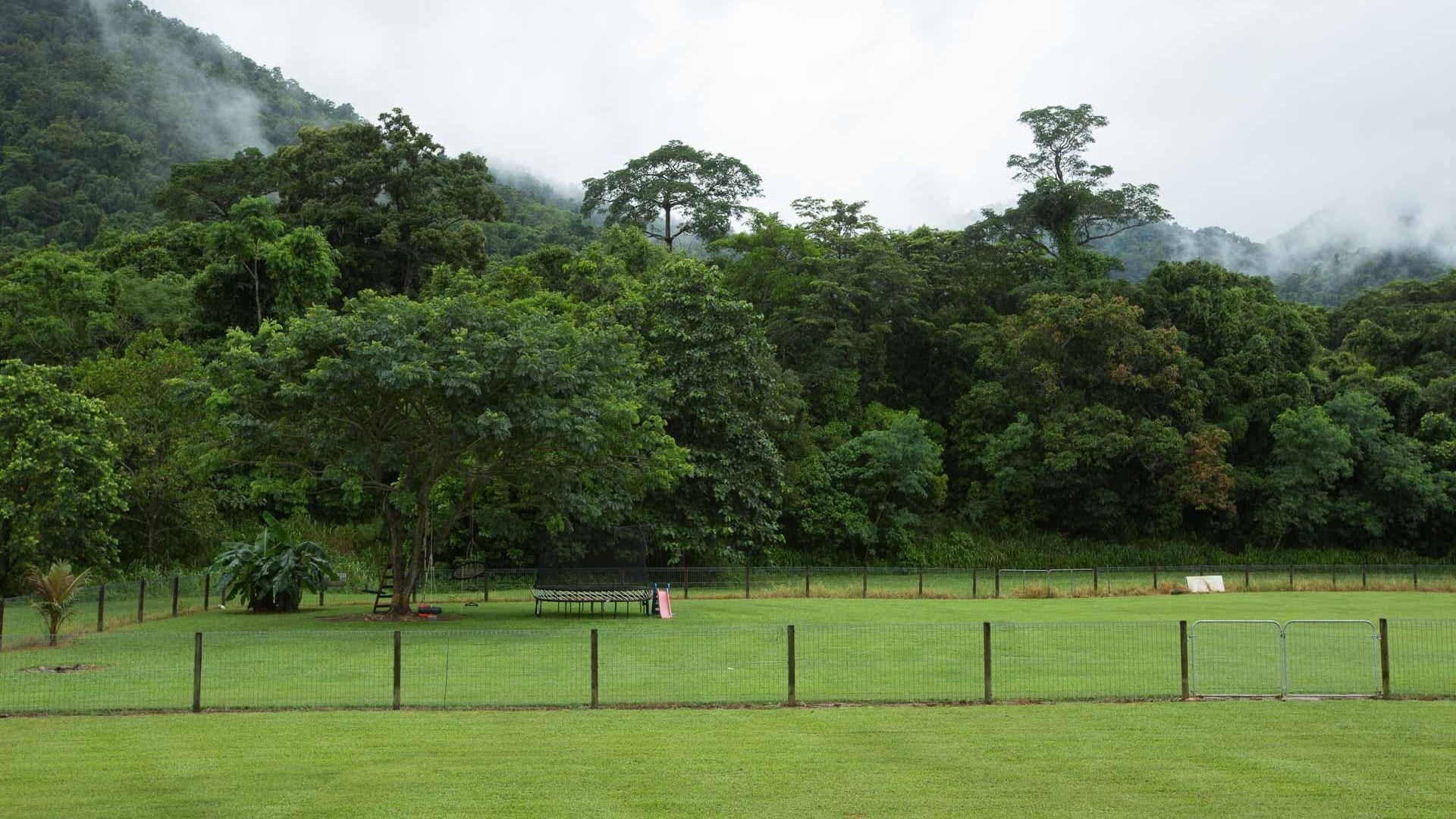 Cairns PET FRIENDL THE HOMESTEAD: Redlynch Pet fees apply Kitchenette YES — image 30