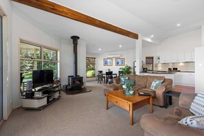 Télévision, cheminée, lecteur de DVD, chaîne hi-fi