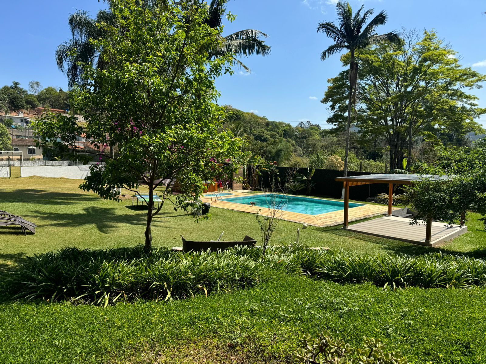 A backyard with a swimming pool, surrounded by lush greenery and palm trees.