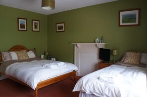 Standard Triple Room, Ensuite (Room 1) - The Carew Arms (Taunton)