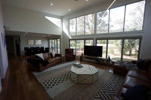 Smart TV, fireplace, DVD player, books