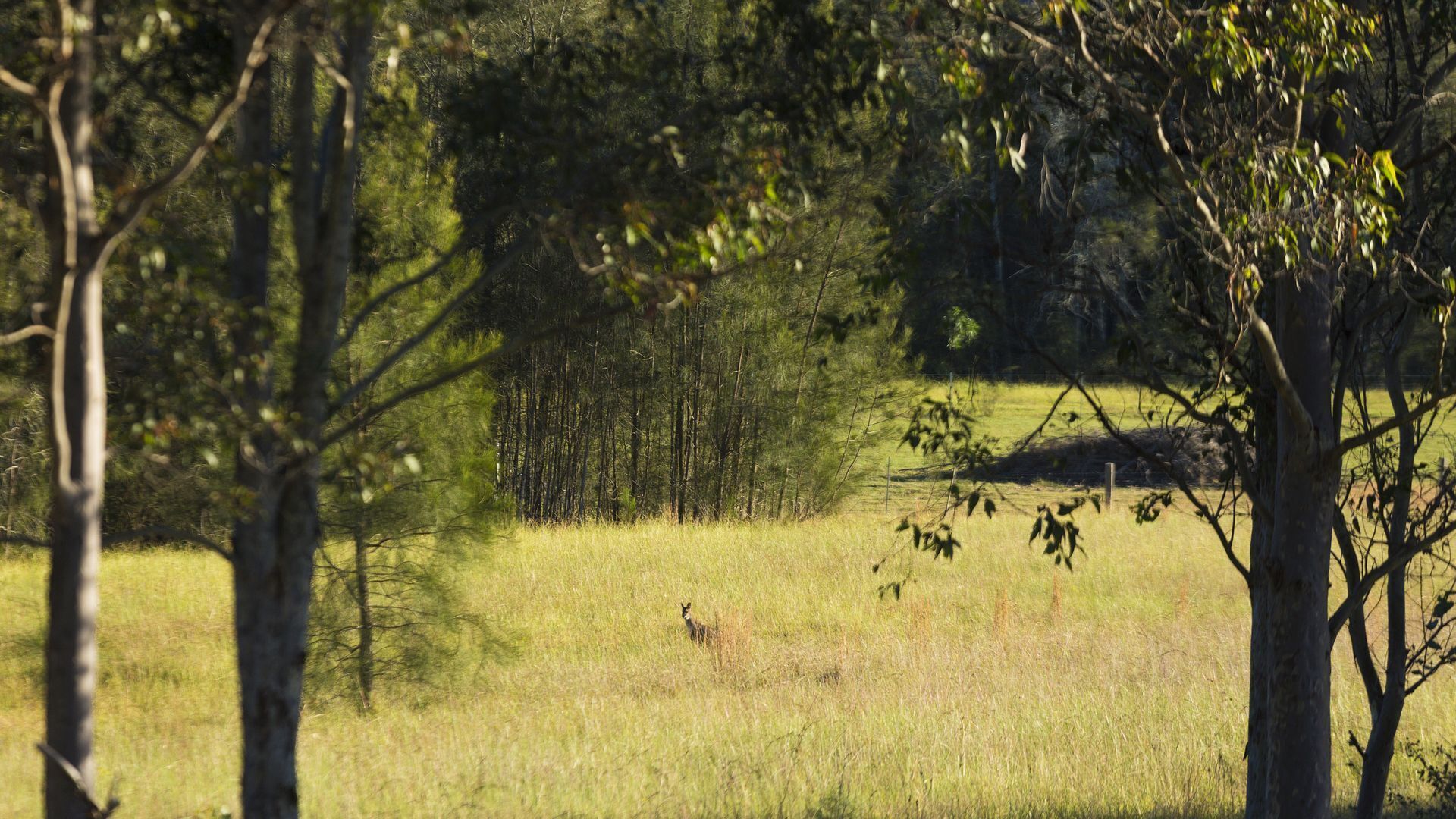 Windsors Edge Rothbury Cottage - Centrally Located — image 13