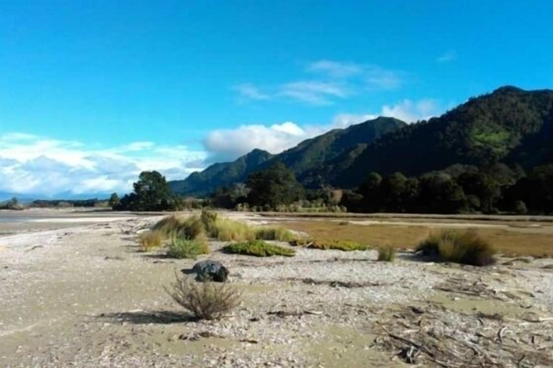 A coastal landscape with a beach, rocky terrain, and mountains in the background.